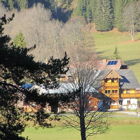 Obergrabnerhof Apartment Ramsau am Dachstein Ngoại thất bức ảnh